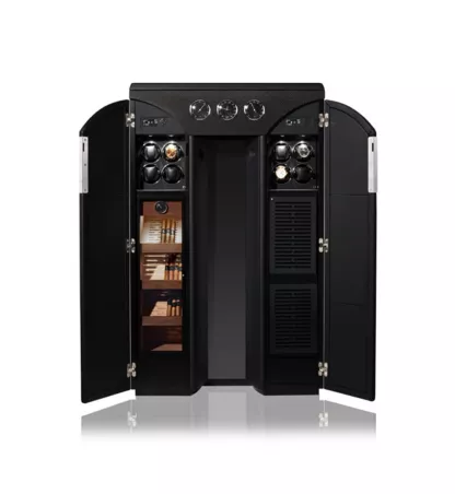 Пристрій автоподзавода Connoisseur Python V8 HiFi Carbon