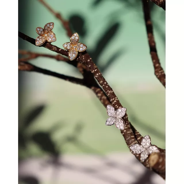 Експедиція в таємні сади Petit Garden від Pasquale Bruni. У білому золоті — спогади про мінливу красу природи. Білі діаманти — мов солоні краплі океану, що повільно тануть на розігрітій сонцем шкірі. Миті ніжності, зібрані в кожній ювелірній лінії — дбайливо збережені на Великій Васильківській 2